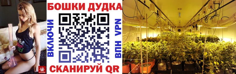 Марихуана тримм хочу Зеленогорск